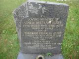 image of grave number 283771